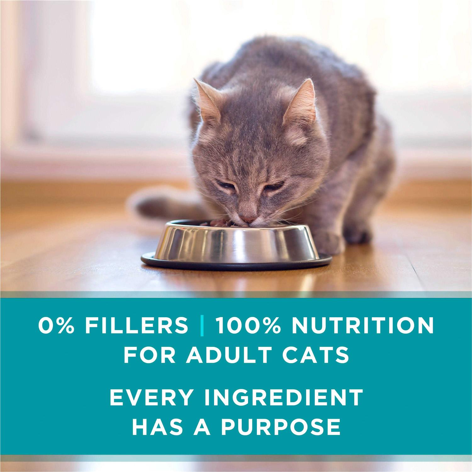 Wet Cat Food I466415