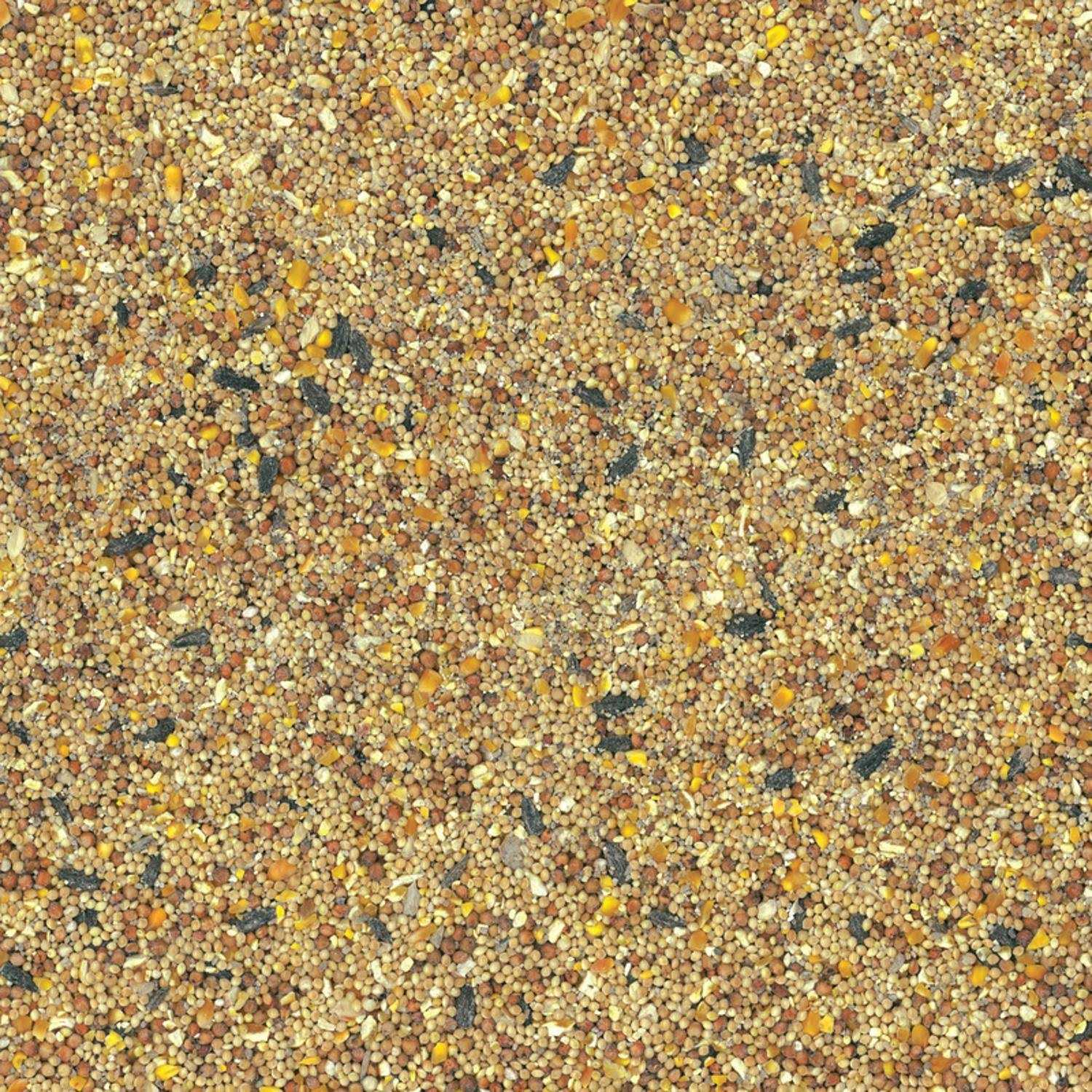 Kaytee Basic Blend Wild Bird Food L16632