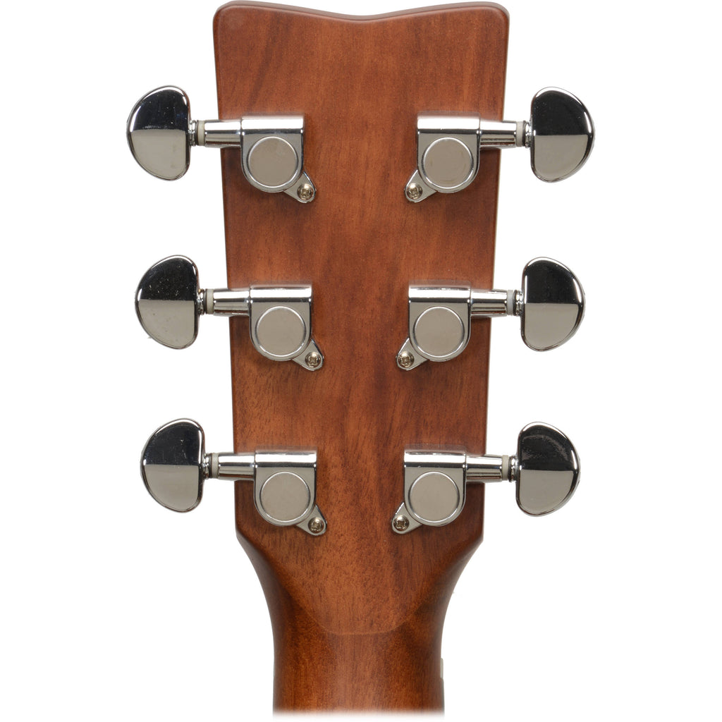 Acoustic Guitar D296