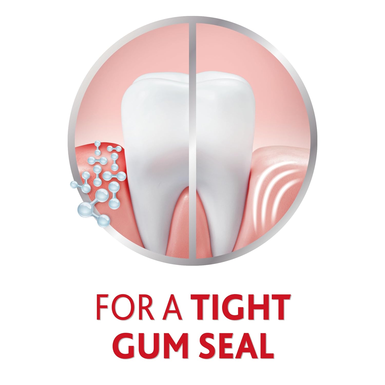 Fresh Mint Gum Toothpaste - 3.4 Ounces T5249