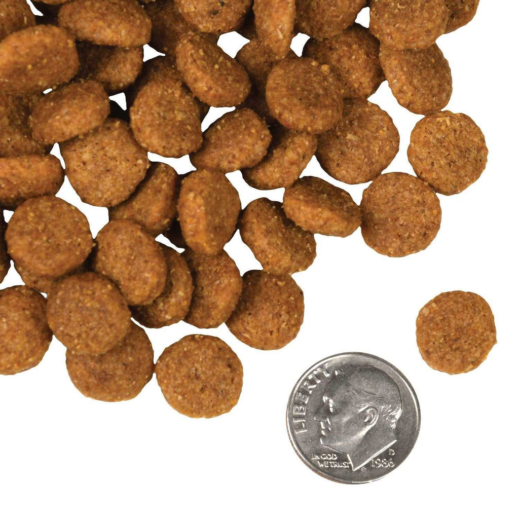Salmon A La Veg Dog Food Y63530