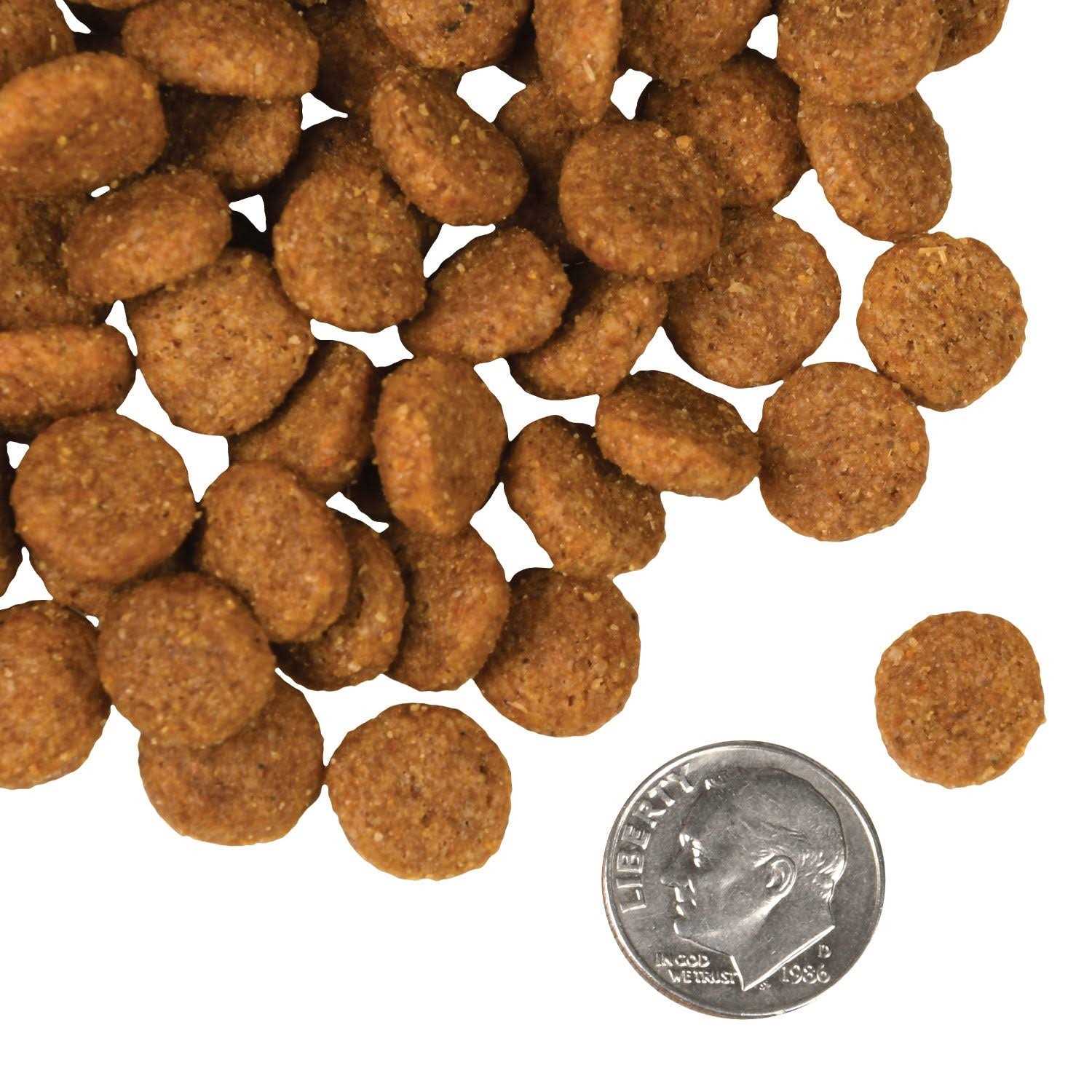 Salmon A La Veg Dog Food Y63530