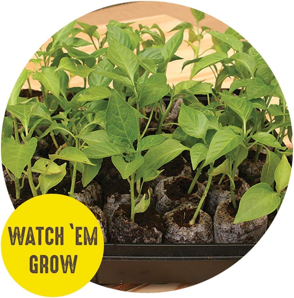 50mm Seed Starting Greenhouse Kit with 16 Biodegradable Expanding Peat Pellets I305196