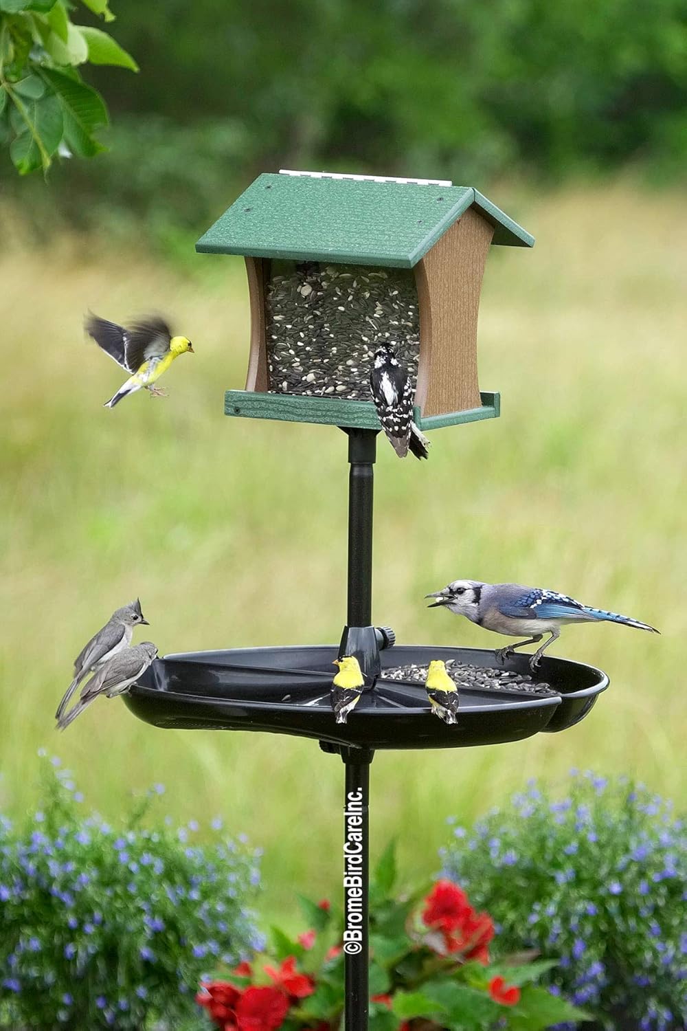 Pack of 2 Seed Catcher Tray for Wild Bird Feeders R384