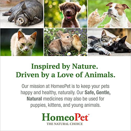 Natural Nasal and Sinus Medicine for Cats, 15 Milliliters F697