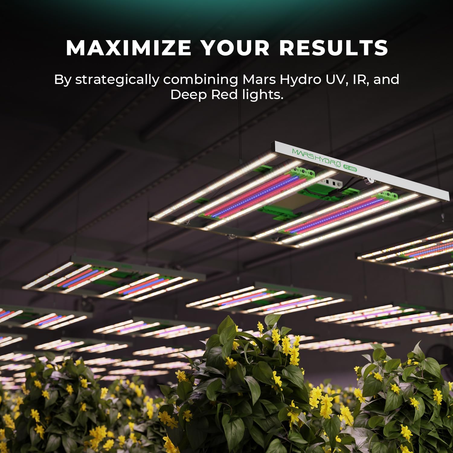 300Watt LED Grow Light G152991