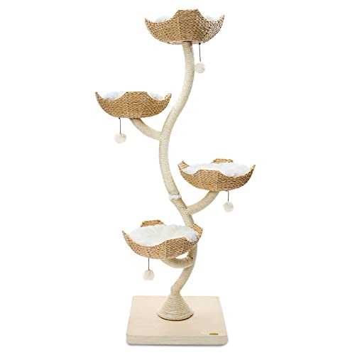 White Cat Tree Y83018