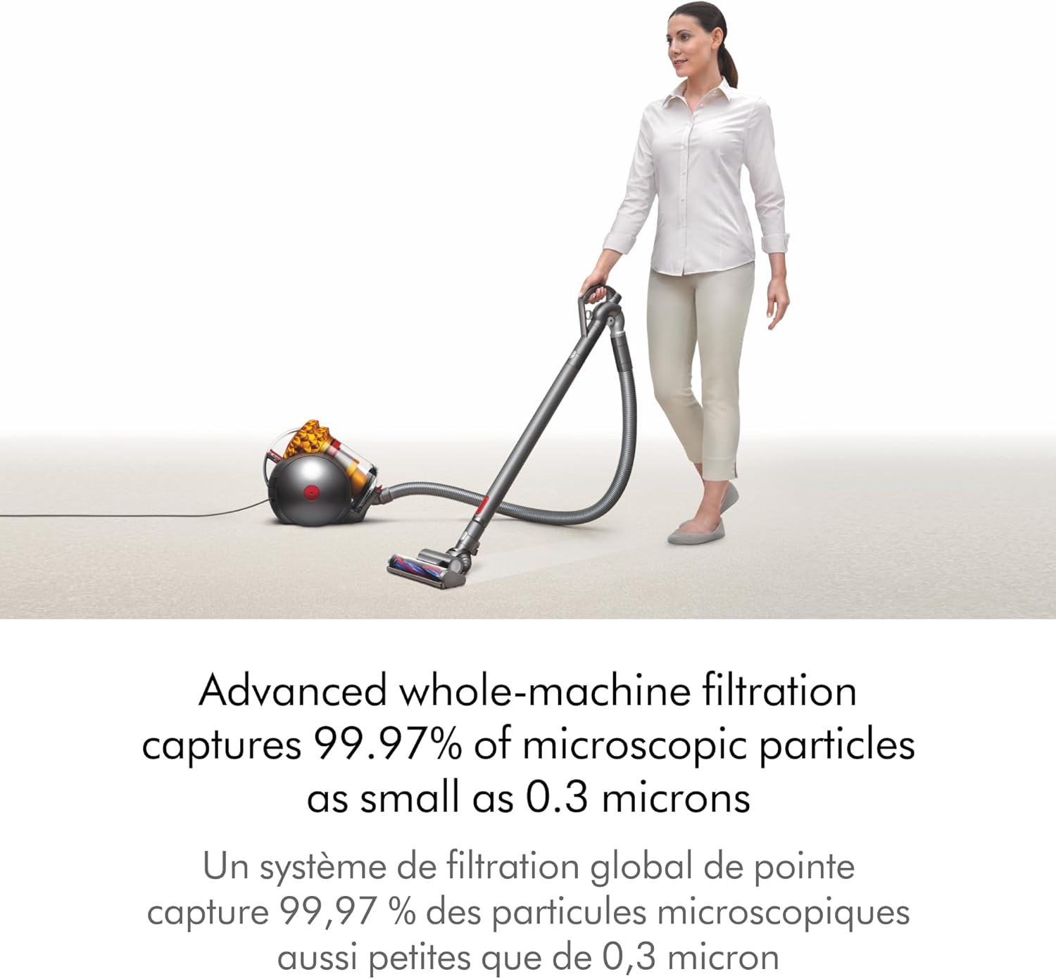 Big Ball Bagless Canister Vacuum Cleaner V754030