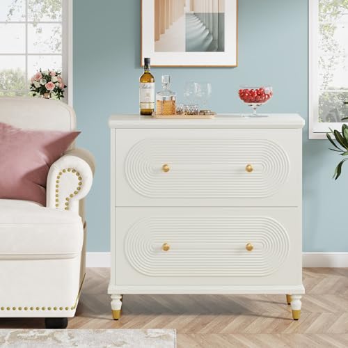 Gray 2-Drawer Wooden File Cabinet O546