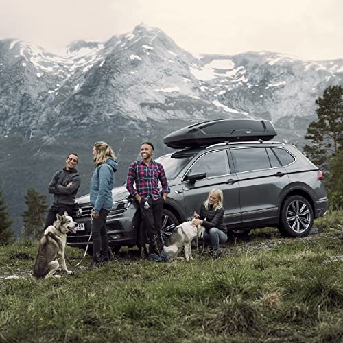 Thule Rooftop Cargo Box D253822