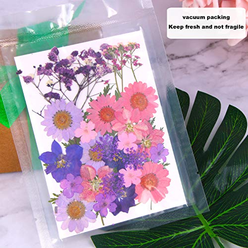 Black Dried Pressed Flowers, 120 Pcs Natural Dried Flowers Z127