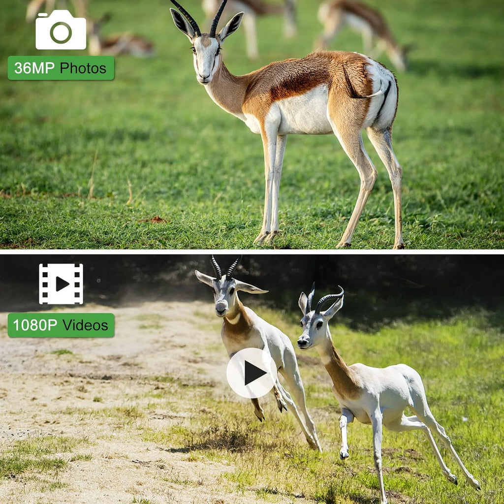 36MP 1080P Trail Camera with Night Vision IP66 Waterproof Motion Activated Infrared Hunting Camera T7885