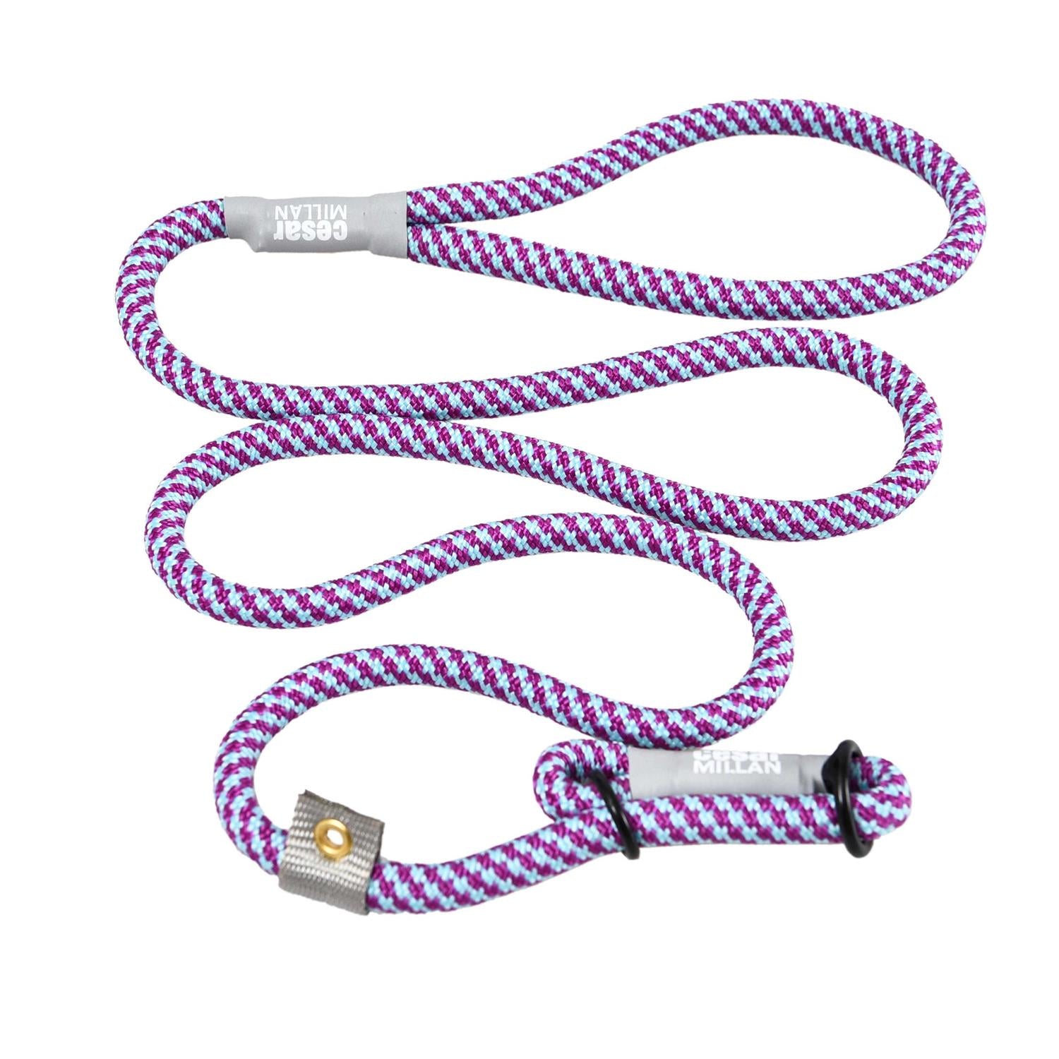 Slip Lead Leash 2-in-1 Dog Training Lead & Collar O63469