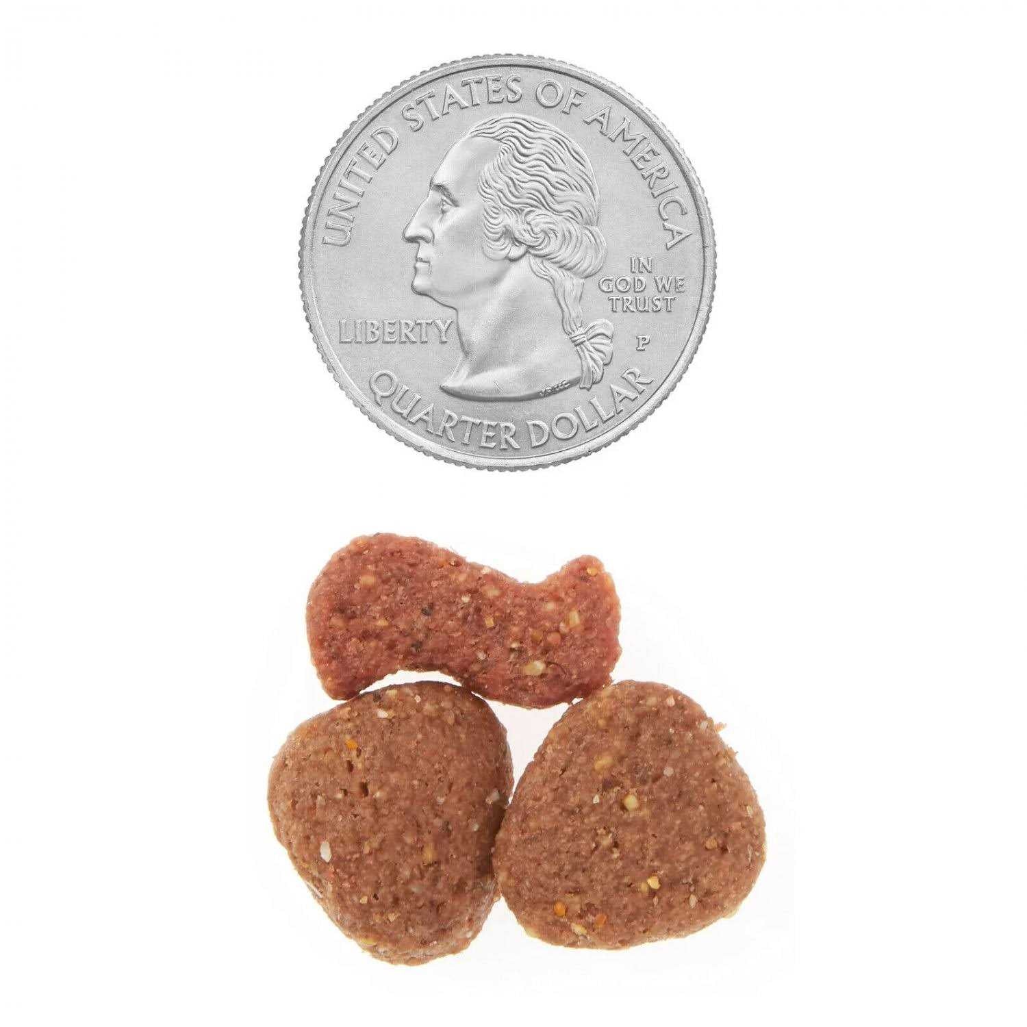 Dry Dog Food K42168