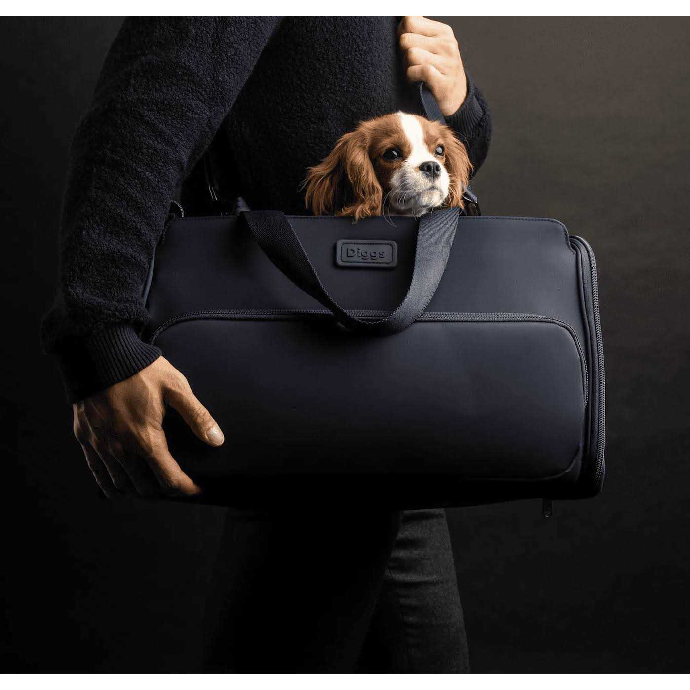 Travel Pet Carrier P4320