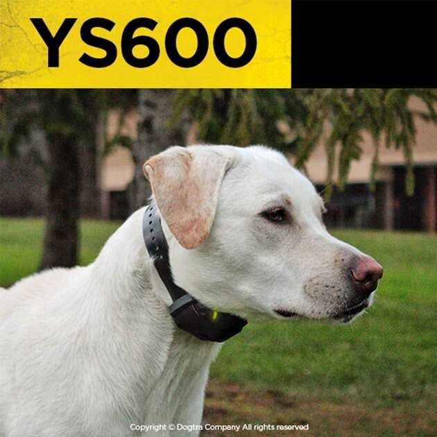 No Bark Collar S1207