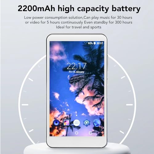 256GB Bluetooth MP3 Player with Speaker H7321