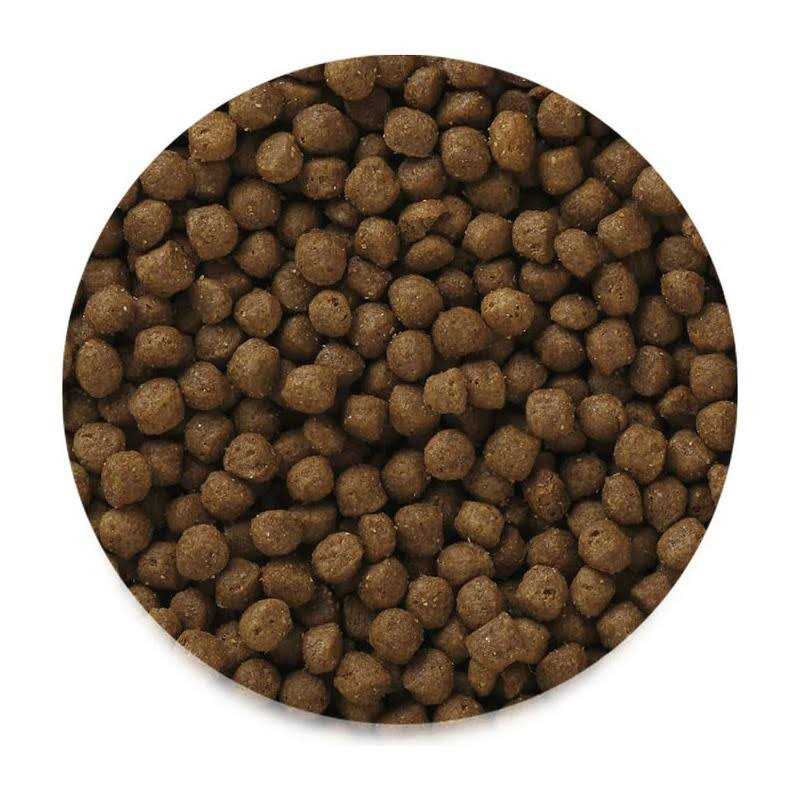 Premium High Energy Adult Mini Chunk Dry Dog Food A120