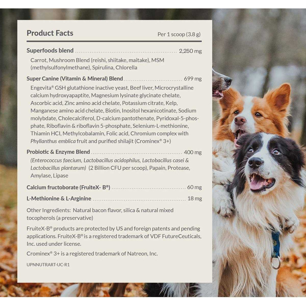 40-in-1 Multivitamin Powder Supplement for Dogs U892
