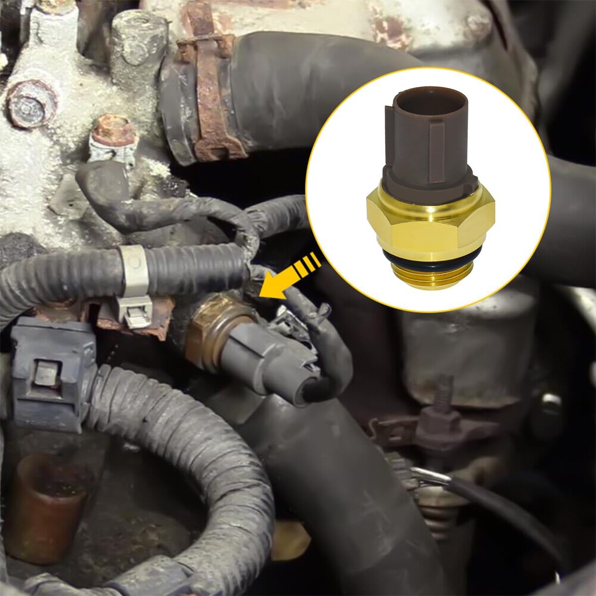 Radiator Coolant Fan Switch, Water Temperature Sensor J24586