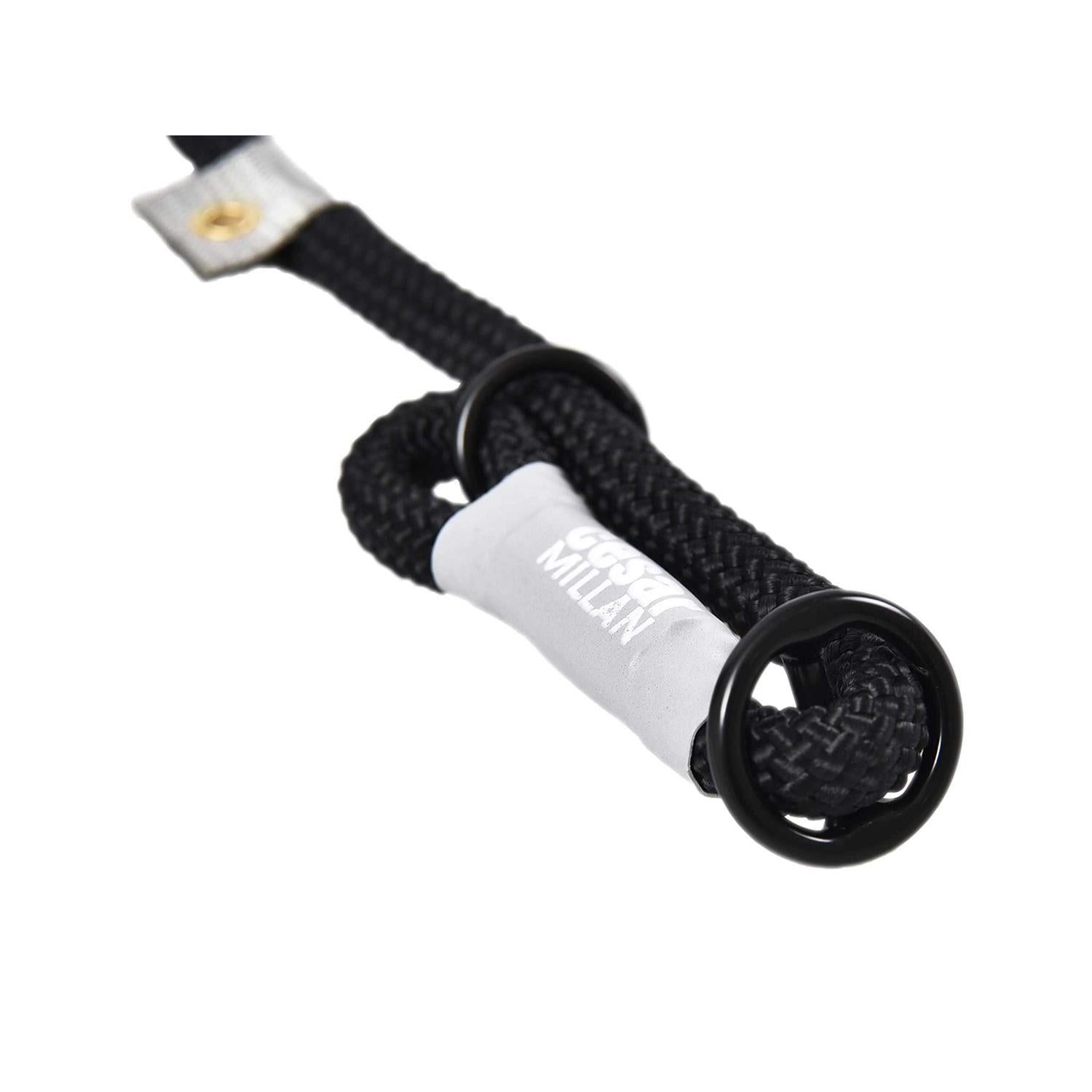 Slip Lead Leash 2-in-1 Dog Training Lead & Collar O63469