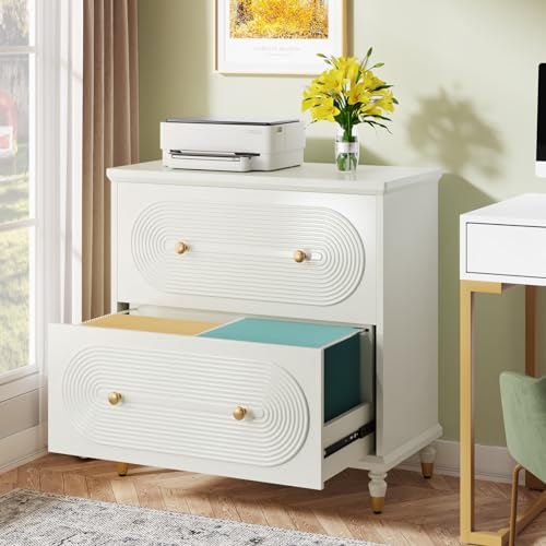 Gray 2-Drawer Wooden File Cabinet O546