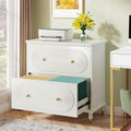 Gray 2-Drawer Wooden File Cabinet O546