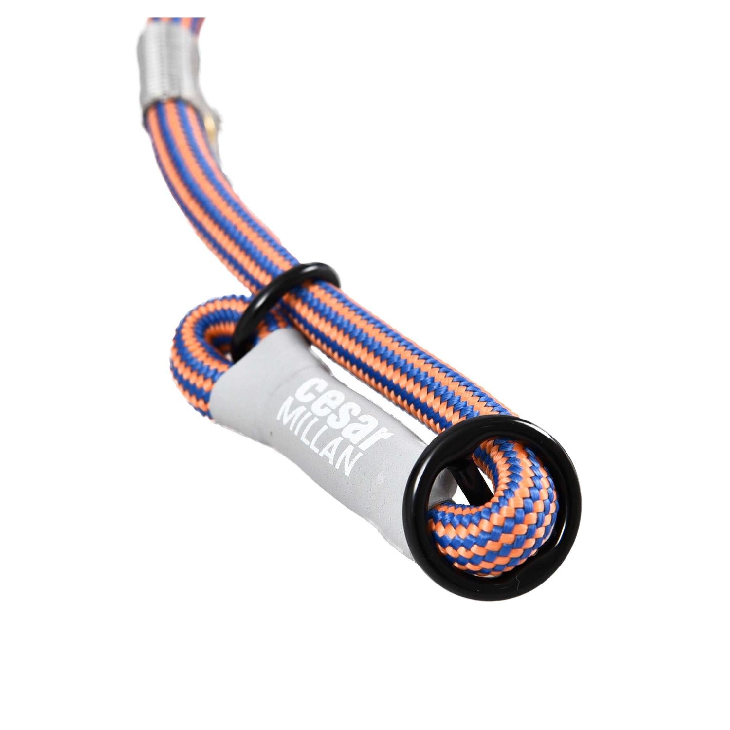 Slip Lead Leash 2-in-1 Dog Training Lead & Collar O63469