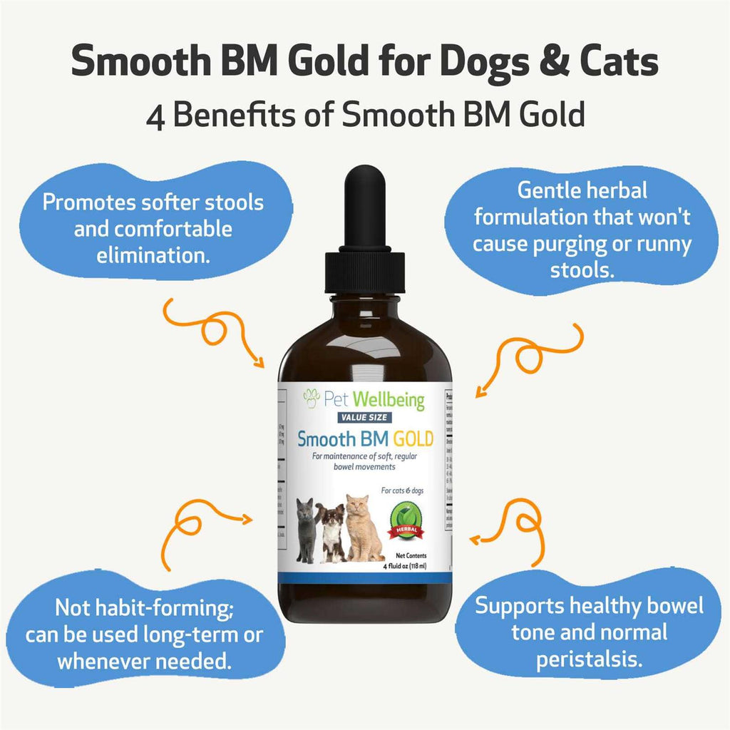 Smooth BM Gold Pet Supplies T665736