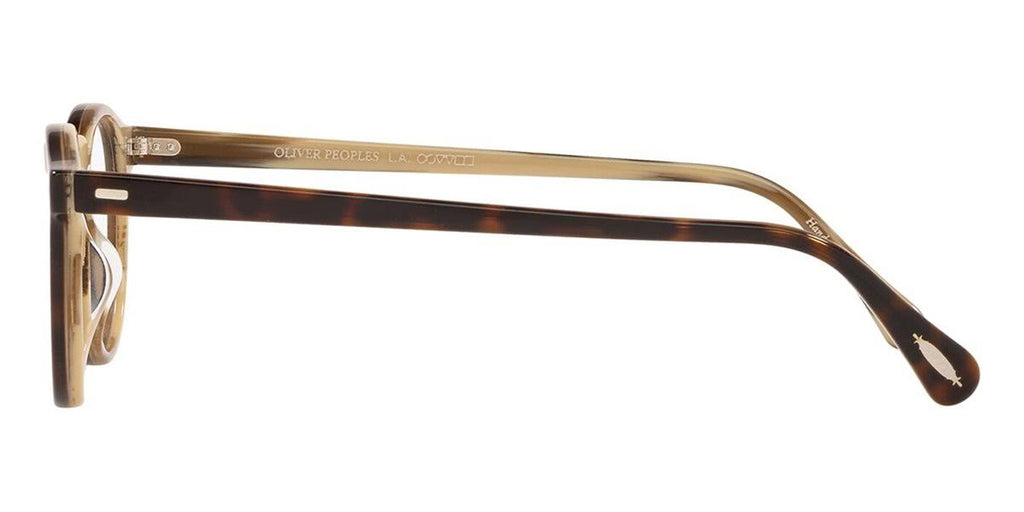 Glasses Z7974