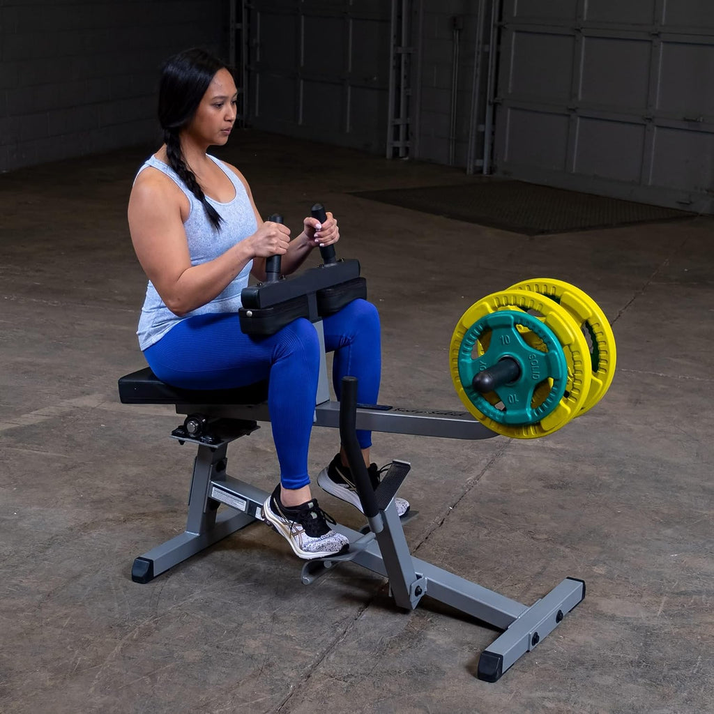 Seated Calf Raise Exercise Machine A211