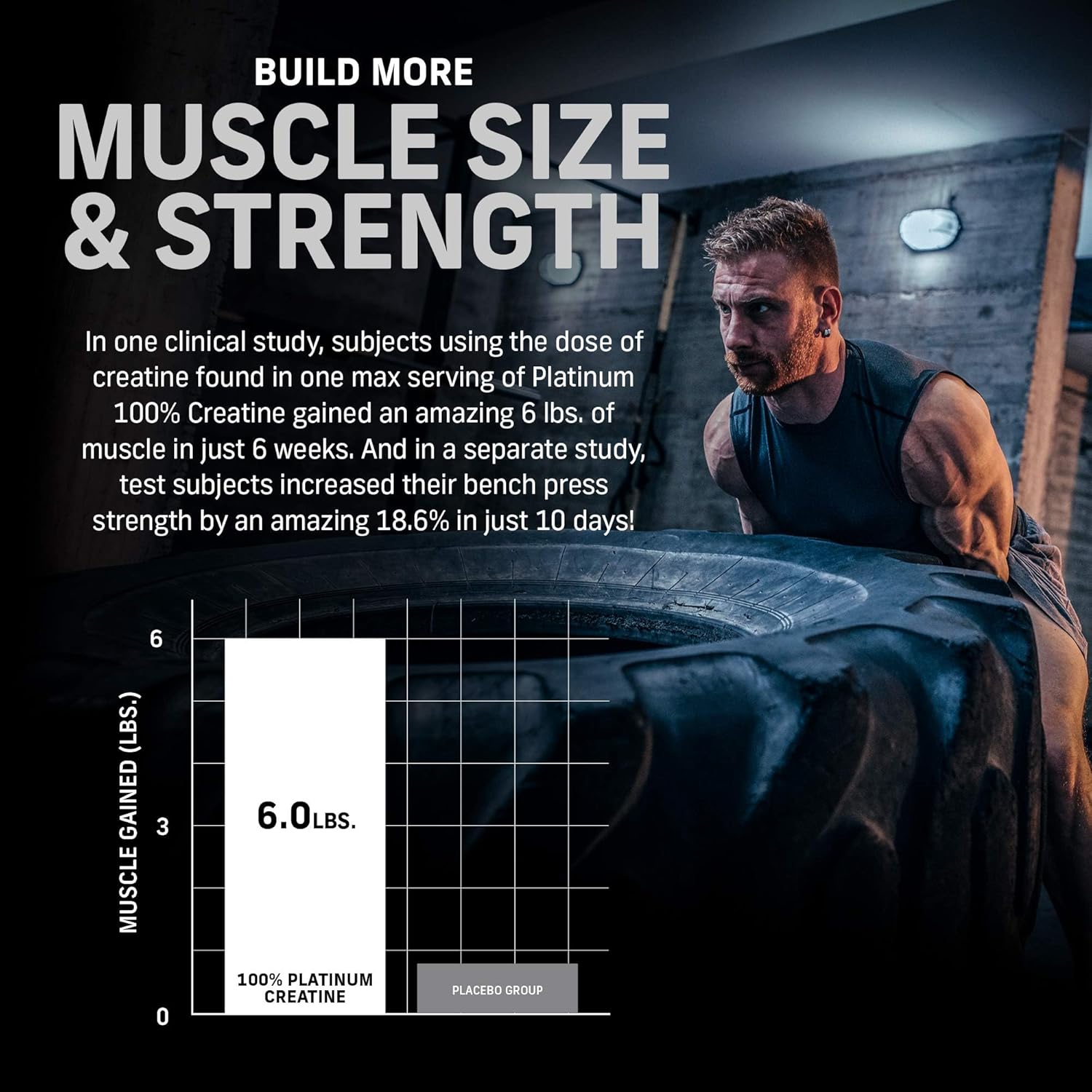 Whey Protein Powder P53977