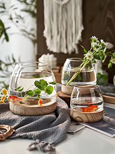 Glass Vase with Wooden Support Base, Clear Glass Bubble Vase, 1pcs (B 23 × 22 × 20 cm) M829