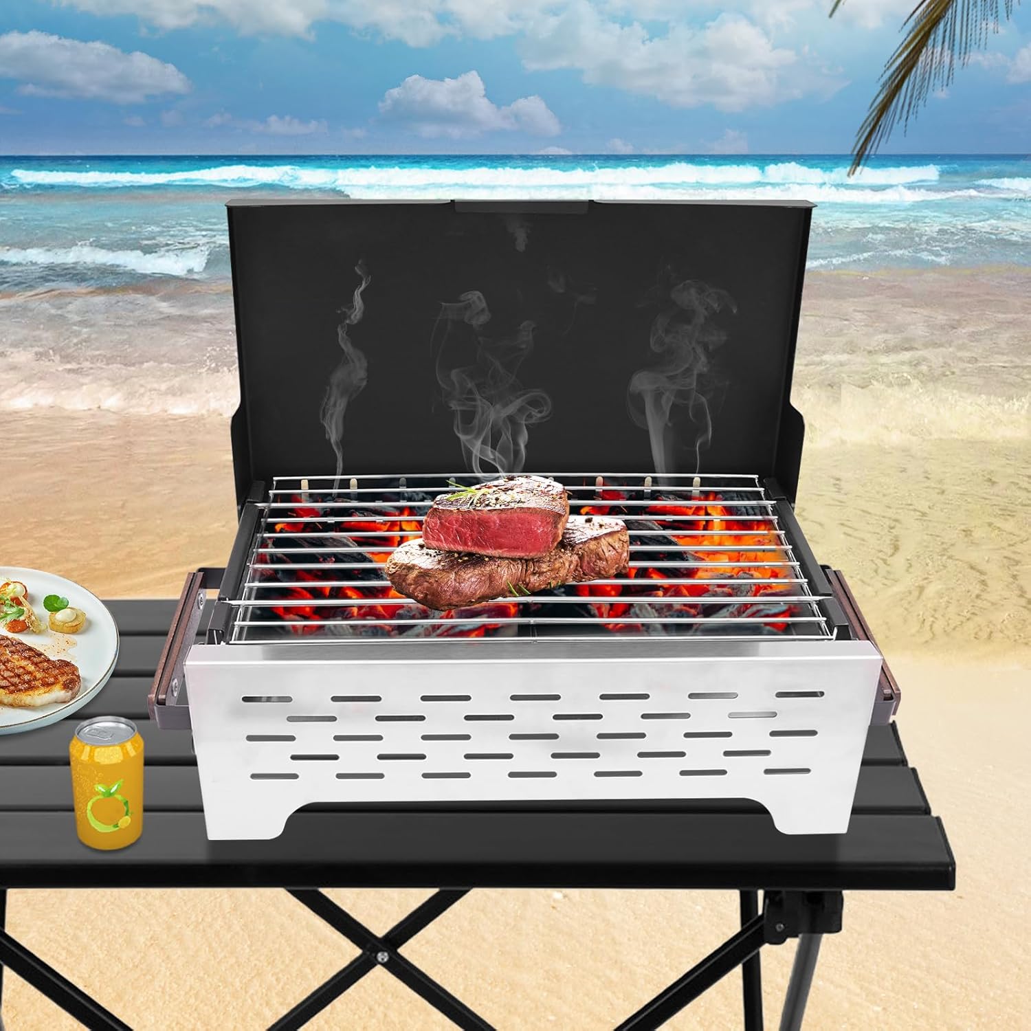 Portable Charcoal Grill P750546