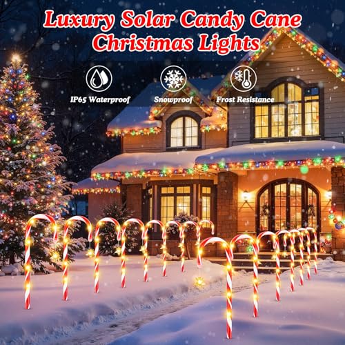24-Pack Solar Christmas Candy Cane Lights, 144 LED O3812