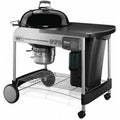 22" Black Charcoal Grill W17216