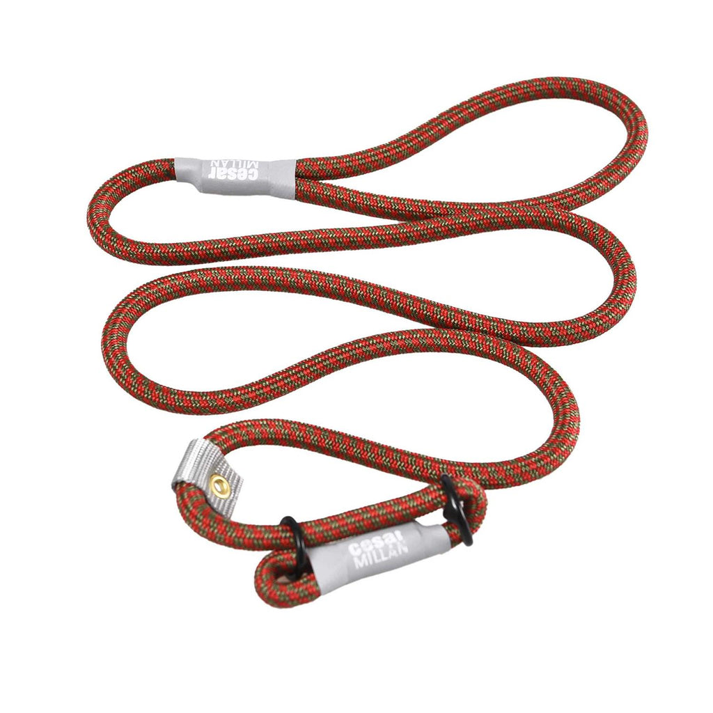 Slip Lead Leash 2-in-1 Dog Training Lead & Collar O63469