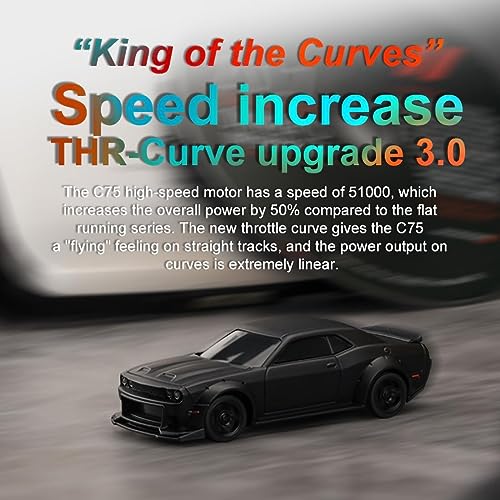 1:76 Scale Drift RC Car with Gyro RTR 2.4GHZ Remote Control with 2 Replaceable Body Shell G918