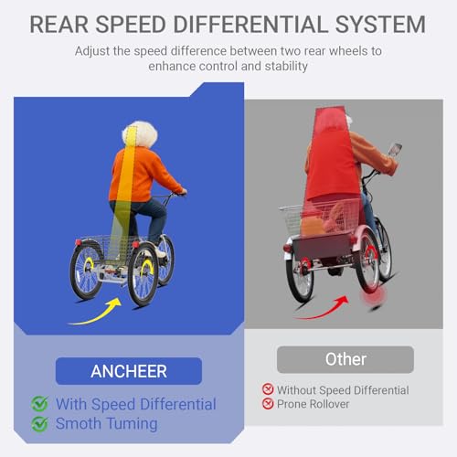 24" 499Wh Folding 3 Wheel Electric Tricycle M4087