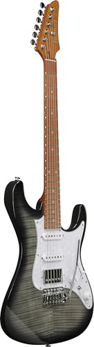Transparent Black Sunburst 6-String Right-Handed Electric Guitar Z5535