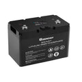 12V 100Ah LiFePO4 Deep Cycle Lithium Battery G693