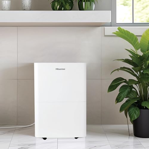 25-Pint Portable Dehumidifier in White Y56552