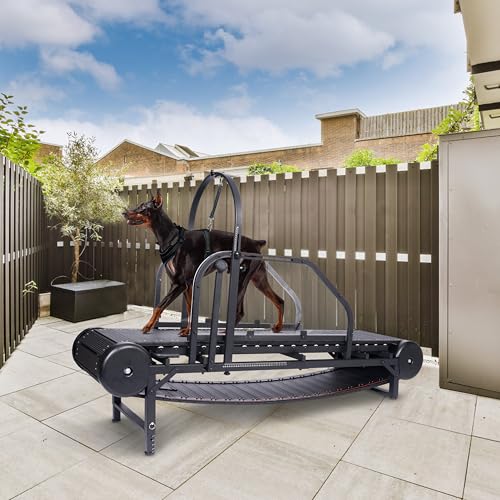 Adjustable Ramp Canine Running Slatmill Machine with Pedometer Y660