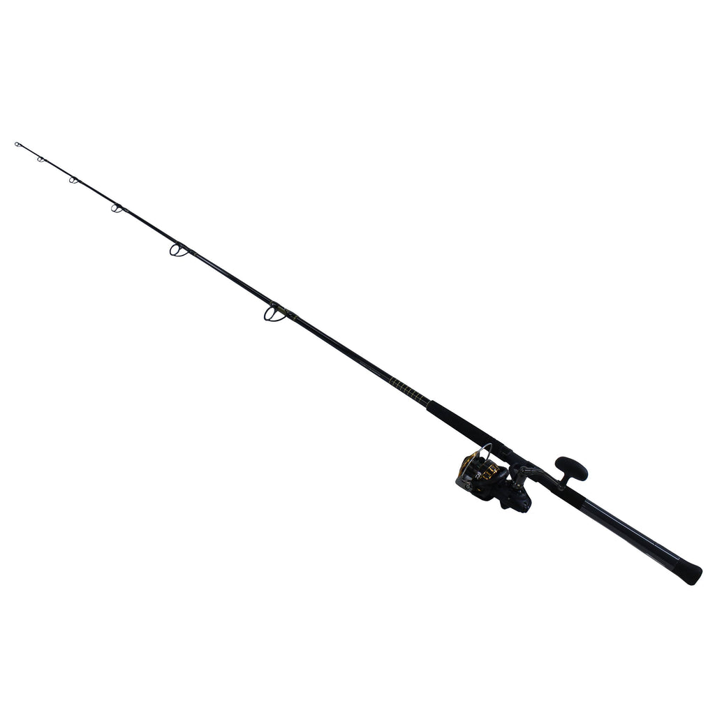 Saltwater Spinning Combo Q5862