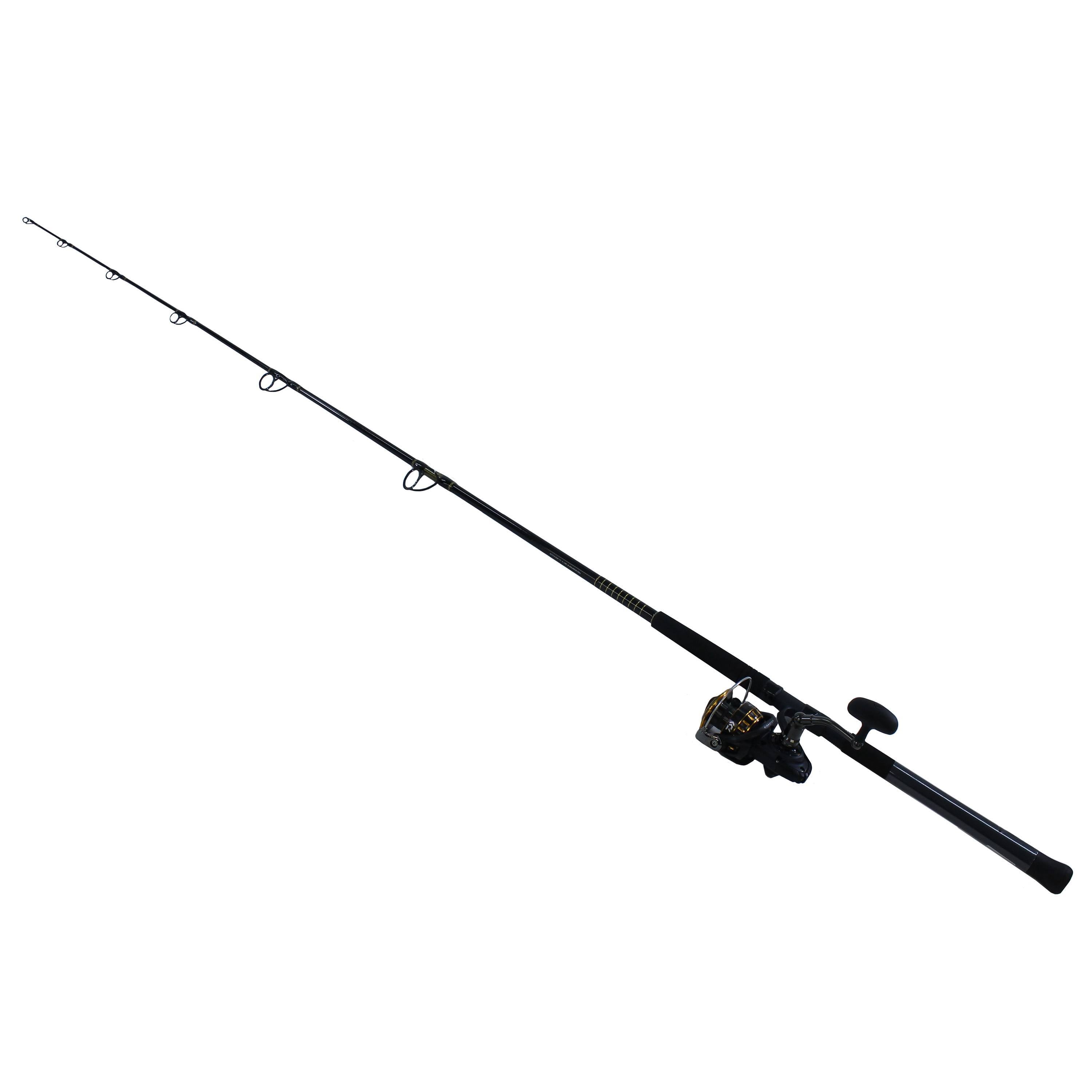 Saltwater Spinning Combo Q5862