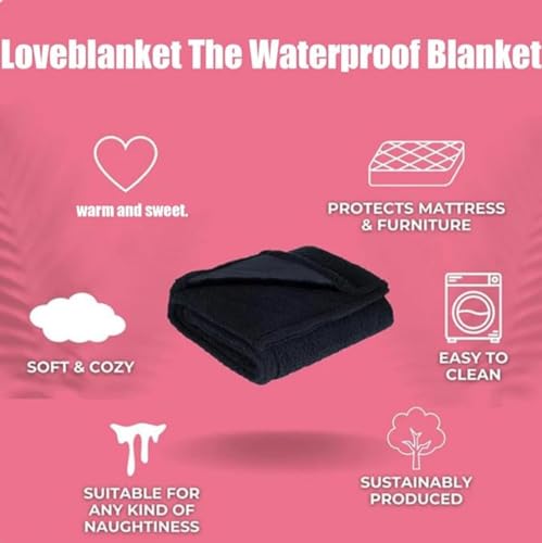 Double-Sided Fluffy Soft Waterproof Fleece Blanket C87098