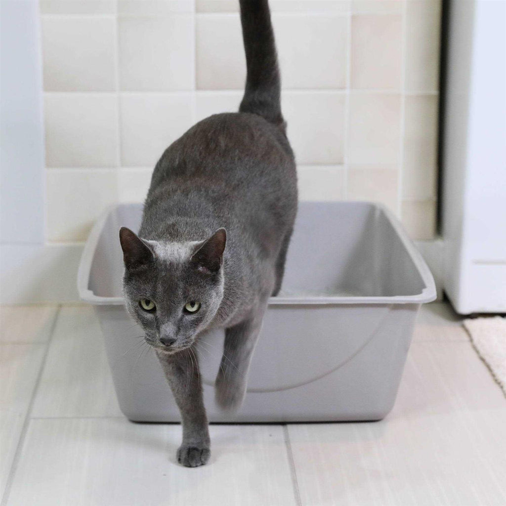 Litter Pan S25335