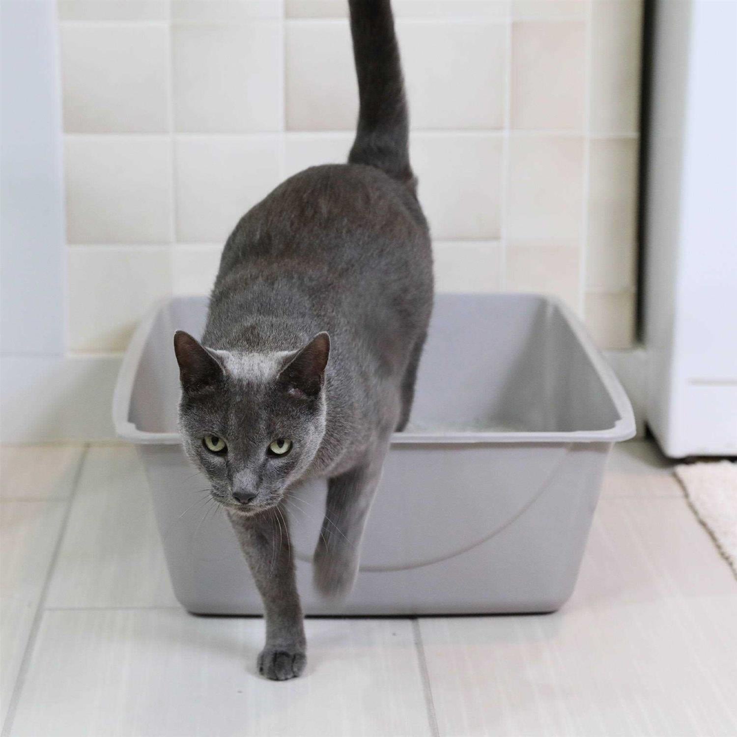 Litter Pan S25335