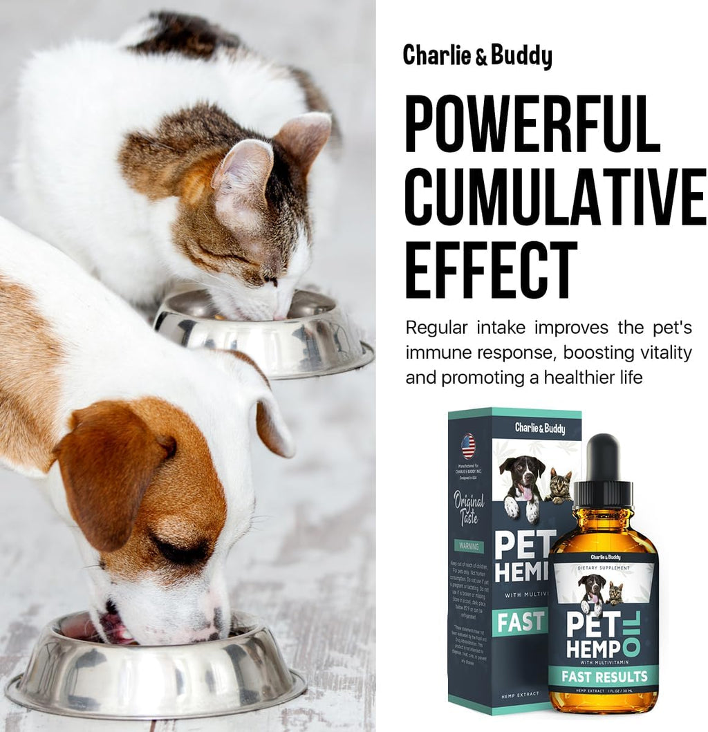 Hemp Oil for Dogs Cats N78010