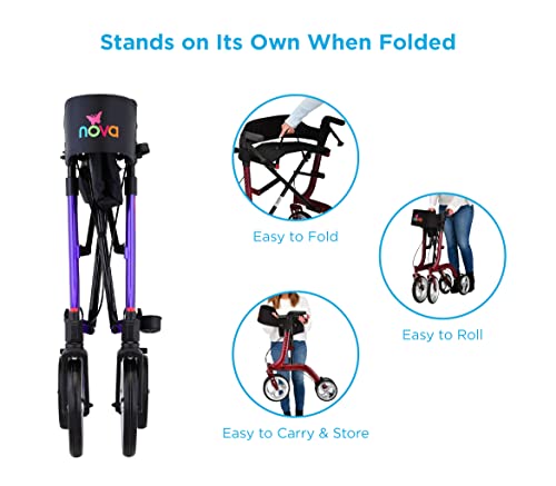 Red Rollator Walker with 10" & 8" Wheels F663385